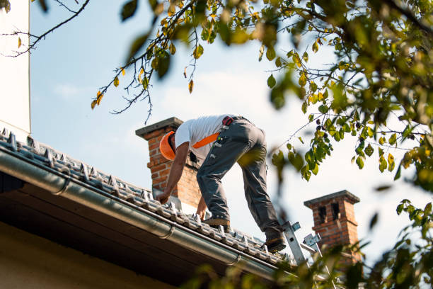 Best New Roof Installation  in Bude, MS