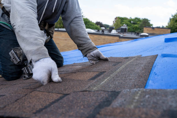Best Roof Repair Services  in Bude, MS