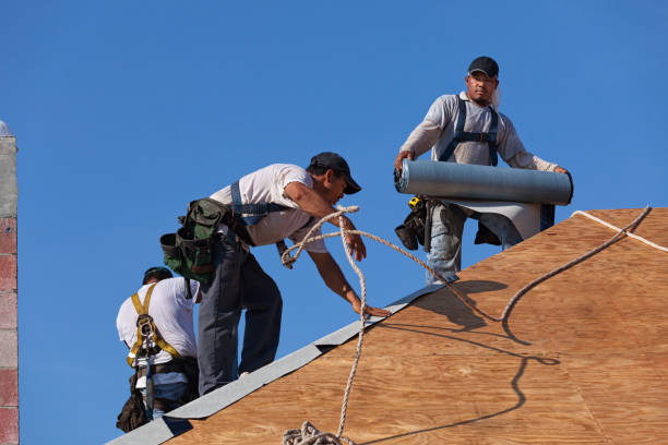 Best Metal Roofing Contractor  in Bude, MS